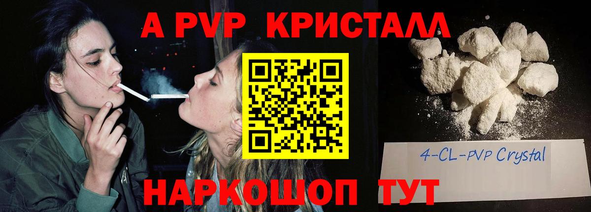 Альфа ПВП СК КРИС  Альфа ПВП СК КРИС  Балаково  Вход с VPN  Alfa_PVP СК 